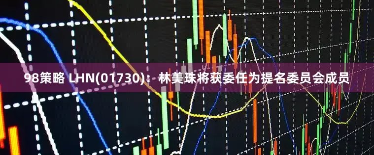 98策略 LHN(01730)：林美珠将获委任为提名委员会成员