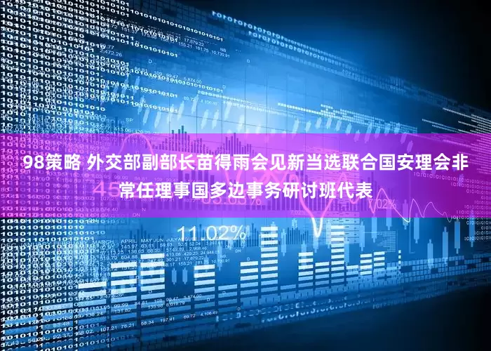 98策略 外交部副部长苗得雨会见新当选联合国安理会非常任理事国多边事务研讨班代表