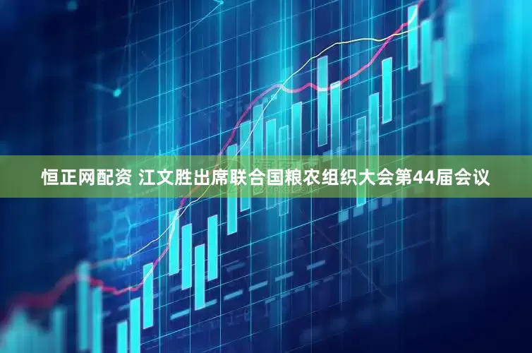 恒正网配资 江文胜出席联合国粮农组织大会第44届会议